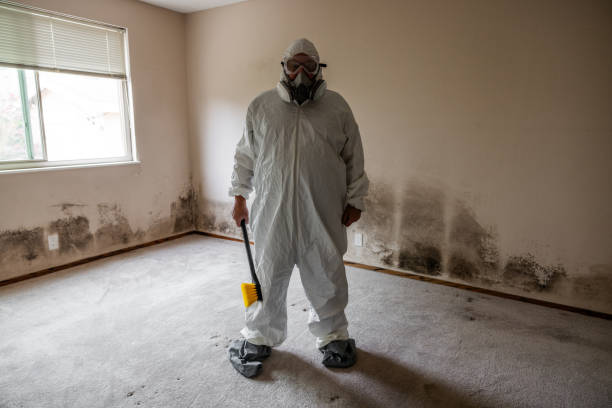 Kinder, LA Mold Remediation Company